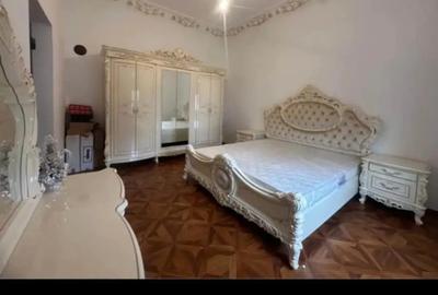 Casa de vinzare Peciu Nou - 3