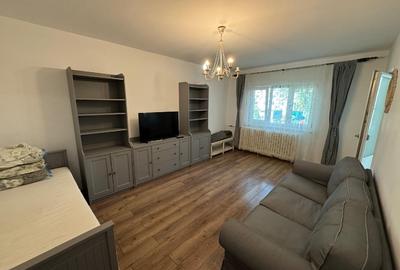 Apartament cu 2 camere decomandat în Gorjului - 16