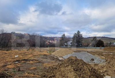 Teren intravilan de vanzare, 866 mp, zona Spitalul Jude?ea - 13