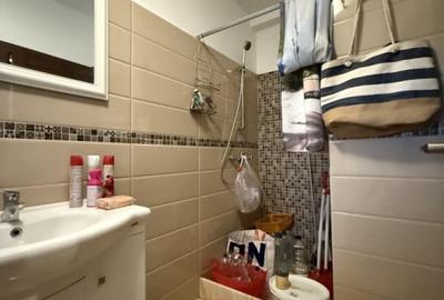 Triplex, 4 camere, 230mp utili, 335mp teren, mobilat - Dumbravita - 13