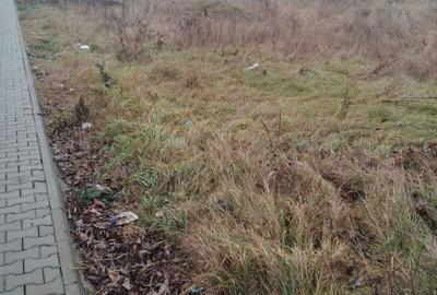 Spațiu comercial, în Dumbrava - 3