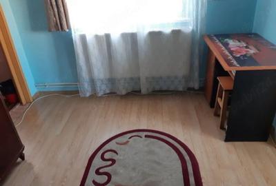 Apartament cu 2 camere nedecomandat în Bumbești-Pițic - 4