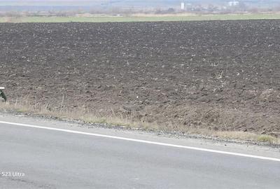 Teren Construcții extravilan de 30700 mp, în Feldioara - 4