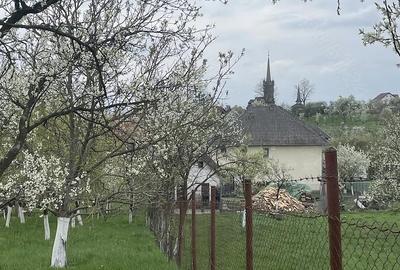 Casă cu 2 camere cu Teren 2056 Mp în Buzești - 1