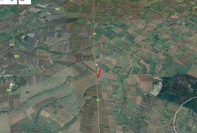 Teren agricol extravilan de 108700 mp, în Orțișoara - 3