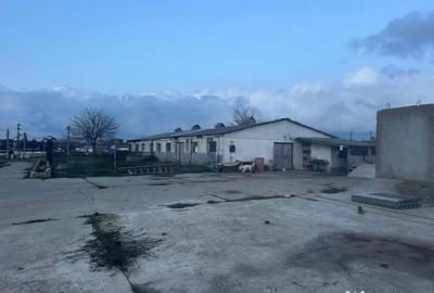 Teren în Valu lui Traian - 8