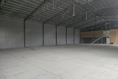 Spațiu comercial, de 800 mp, în Cărpiniș - 5