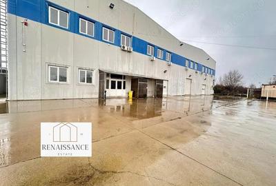 Hala Moderna 6200mp | Panouri Solare - Freidorf - Acces la Centura - 2