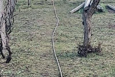 Casă cu 4 camere în Central - 3