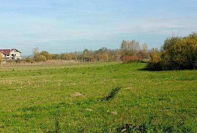 Teren cu PUZ in lucru langa ocolitoarea Mun Sacele - 4