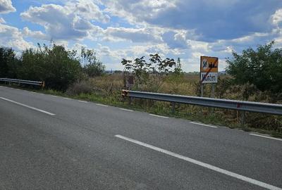 Teren de 2300 mp, în Central - 8