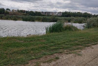 Teren Construcții intravilan de 10000 mp, în Balotești - 9