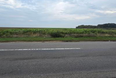 LIVADA  DE VANZARE FOCSANI-DUMBRAVITA  1,8  HA - 16