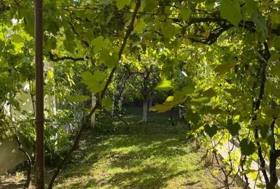 Casa vintage de inchiriat cu gradina de poveste langa Parcul Sub Arini - 4