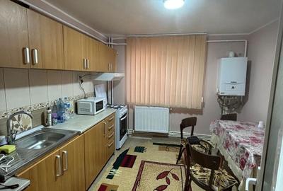 Apartament cu 2 camere semidecomandat în Paltin - 2