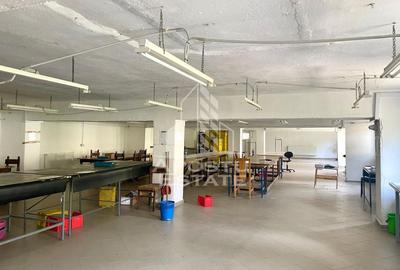 Spatii productie si depozitare, zona Sebis - Prunisor-Carand - 9