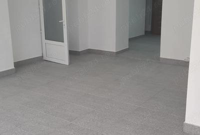 Spatiu Comercial Blvd Cosminului - 4