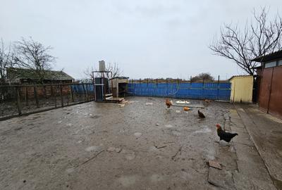 Casă individuală, cu 3 camere, în localitatea Ivanda, la 30 km de Timișoara - 19