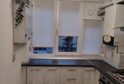 Apartament cu 2 camere decomandat în Brazda lui Novac - 7