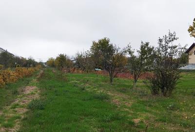 Vila Cu Teren 3.617 Mp, Dubla Deschidere Locuin?a +Investi?ie-Jilava - 20