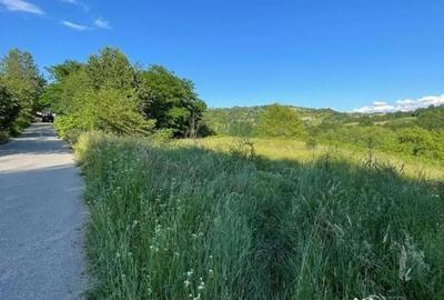 Teren de 9409 mp, în Roșia - 8