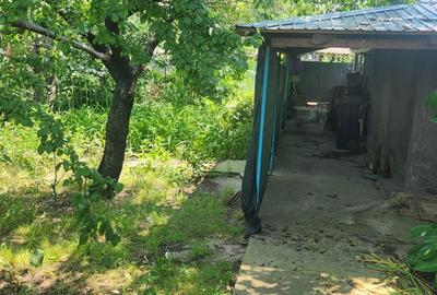 Comuna Jijila, Sat Garvan, judet Tulcea - 8