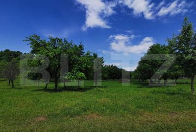 Teren, aproximativ 1 ha, in apropiere de Bistrita - 3