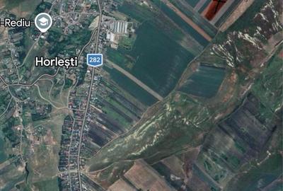 Teren de 15994 mp, în Horlești - 2