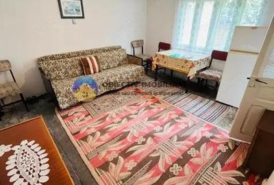Casă cu 6 camere cu Teren 4616 Mp în Răucești - 5