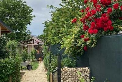 Casă cu 3 camere cu Teren 85 Mp în Moara Vlăsiei - 3