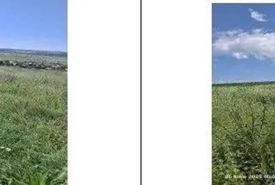 Teren Balteni, cota parte 1/4, ID: R2695268 - 6