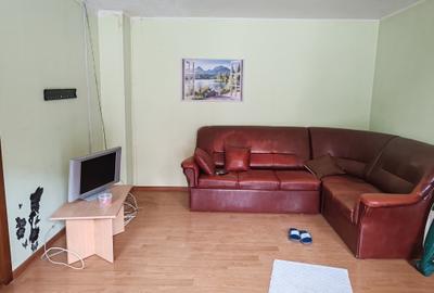Casa 5 camere libera la vanzare SACELE - ELECTOPRECIZIA - 5