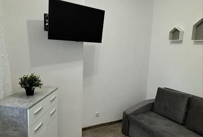 Garsonieră în Dumbrăvița - 1