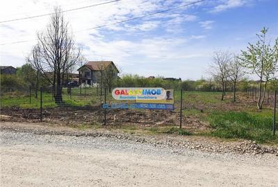 Teren Construcții intravilan de 854 mp, în Mogoșoaia - 1