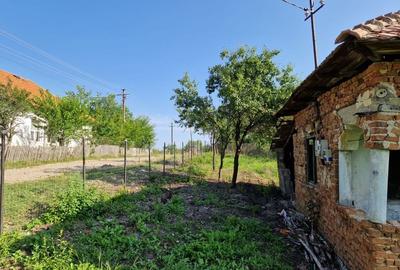 Teren de 2200 mp, în Milcoiu - 3