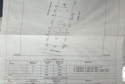Casă cu 3 camere în Călmățuiu