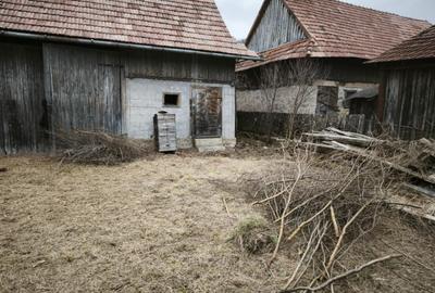 Teren Construcții intravilan de 2848 mp, în Arghișu - 1