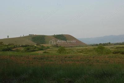 Casă cu 2 camere cu Teren 609 Mp în Uileacu de Beiuș - 10