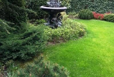 Vila cu 490 mp teren Arcul de Triumf - 2