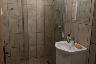 Apartament cu 2 camere semidecomandat în Ultracentral - 4