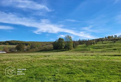 Teren Construcții intravilan de 2014 mp, în Cuveșdia - 2