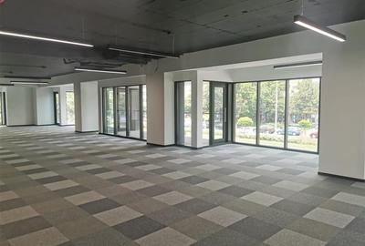 Spatii de birouri moderne in cladire noua - 150 mp - 7