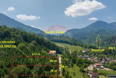 Teren de 3000 mp, în Dâmbul Morii - 13