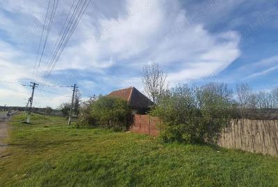 Teren de 3000 mp, în Fârdea - 1