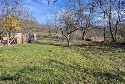 Casă cu 4 camere în Cernișoara - 1