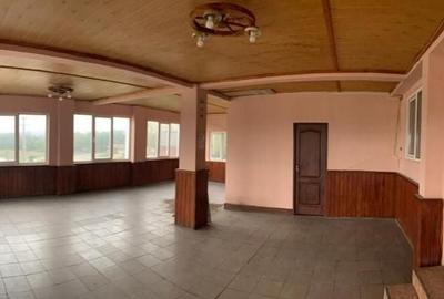 Pensiune 12 camere, vulcanizare, spălătorie pe DN7 - 3