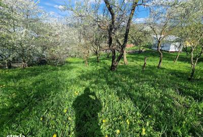 Spațiu comercial, în Ghioșești - 5