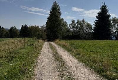 Teren de vanzare Rasca - 3