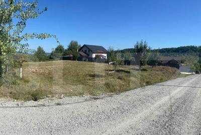 Teren de 925 mp, în Central - 5