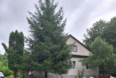 Casă cu 2 camere în Central - 1